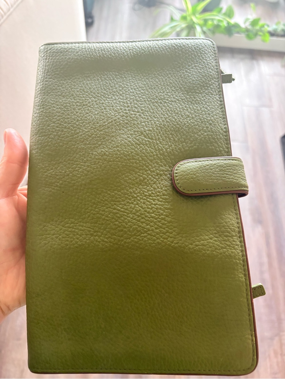 Red Envelope Olive Green Leather Jewelry Organizer Case